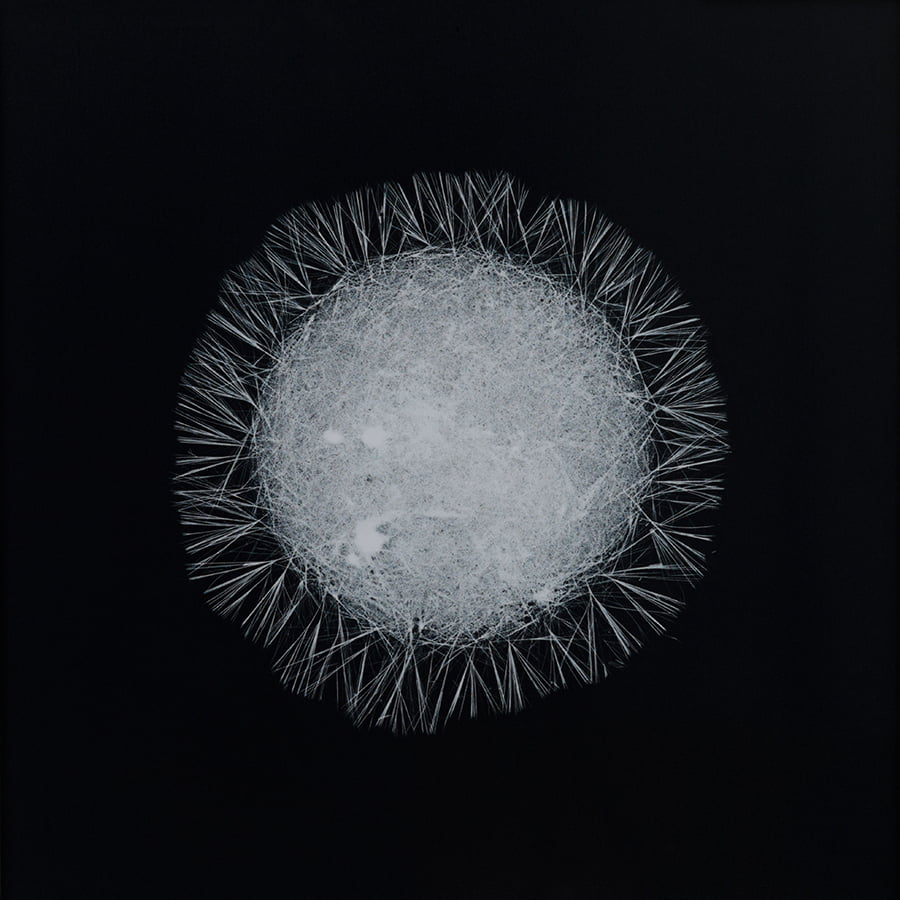 All You Can Feel: Images of Recreational Drugs Exposed to Film Negatives by Sarah Schoenfeld macro drugs 