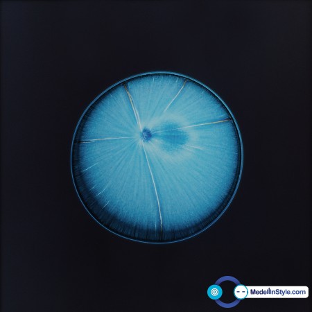 s.schoenfeld_AYCF_Cocaine.Planets