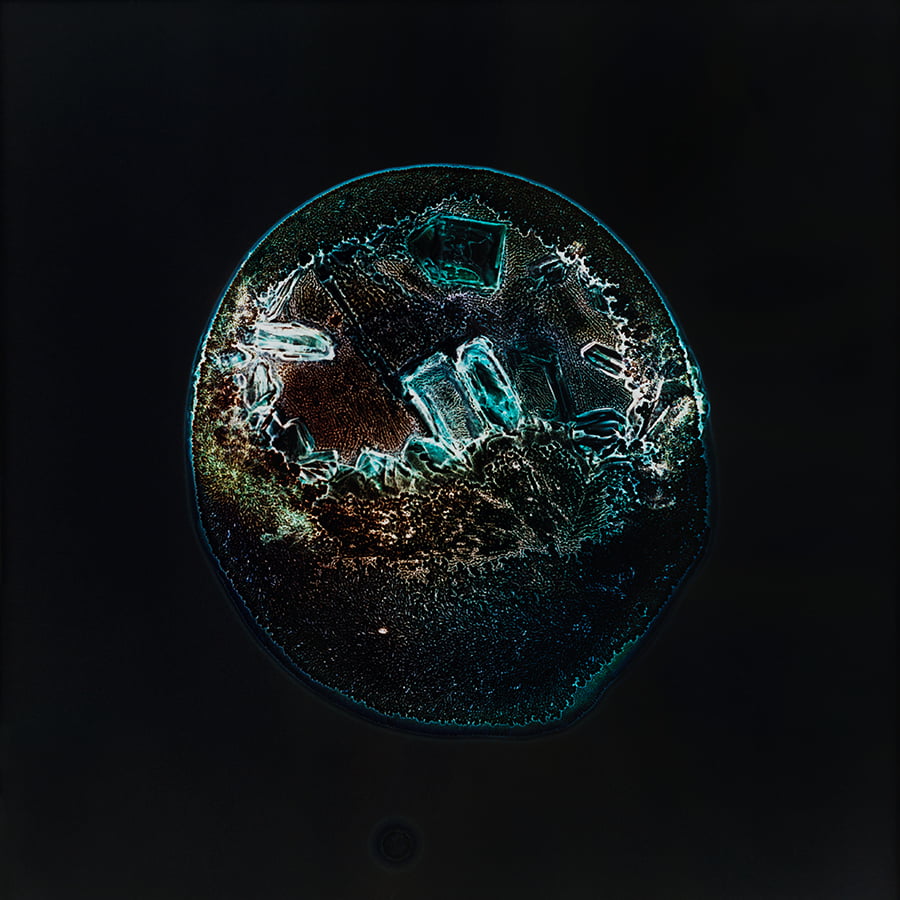 All You Can Feel: Images of Recreational Drugs Exposed to Film Negatives by Sarah Schoenfeld macro drugs 