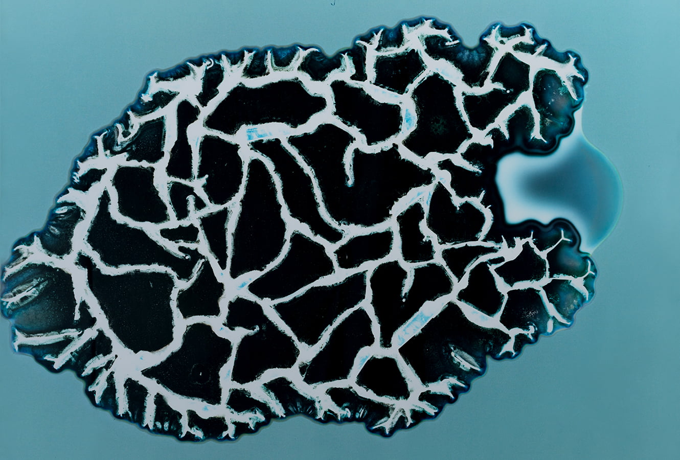 All You Can Feel: Images of Recreational Drugs Exposed to Film Negatives by Sarah Schoenfeld macro drugs 