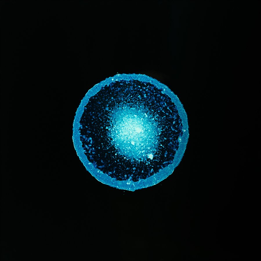 All You Can Feel: Images of Recreational Drugs Exposed to Film Negatives by Sarah Schoenfeld macro drugs 