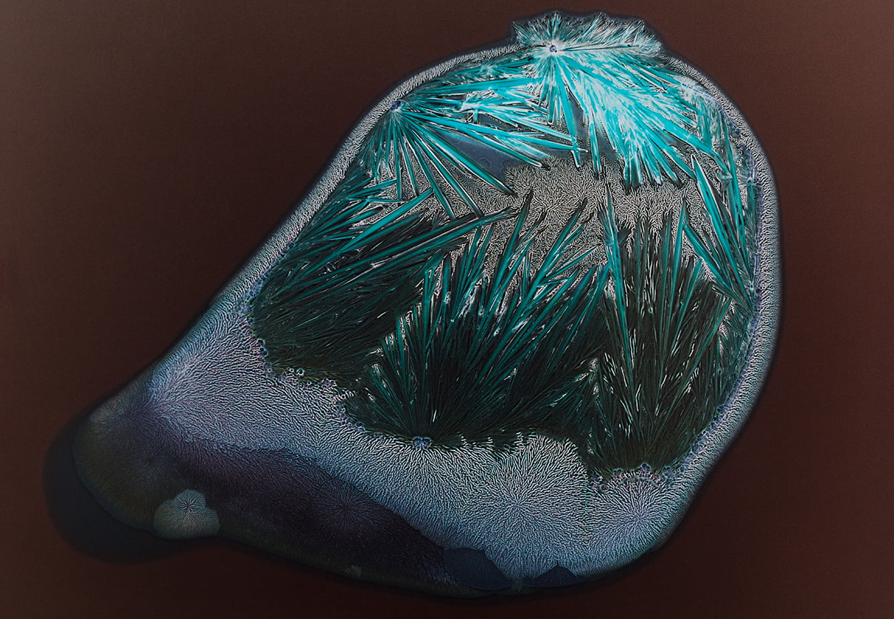 All You Can Feel: Images of Recreational Drugs Exposed to Film Negatives by Sarah Schoenfeld macro drugs 