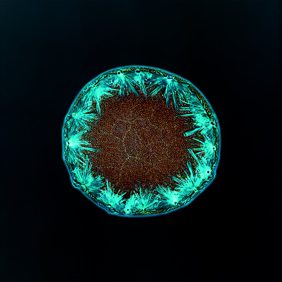All You Can Feel: Images of Recreational Drugs Exposed to Film Negatives by Sarah Schoenfeld macro drugs 