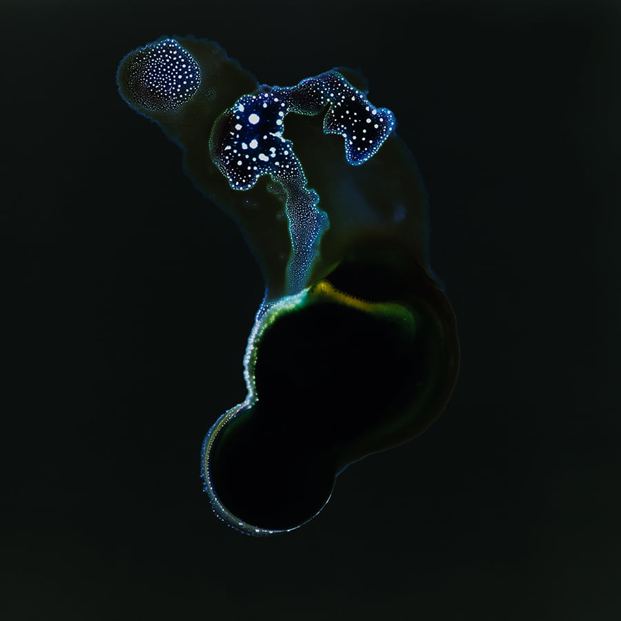 All You Can Feel: Images of Recreational Drugs Exposed to Film Negatives by Sarah Schoenfeld macro drugs 