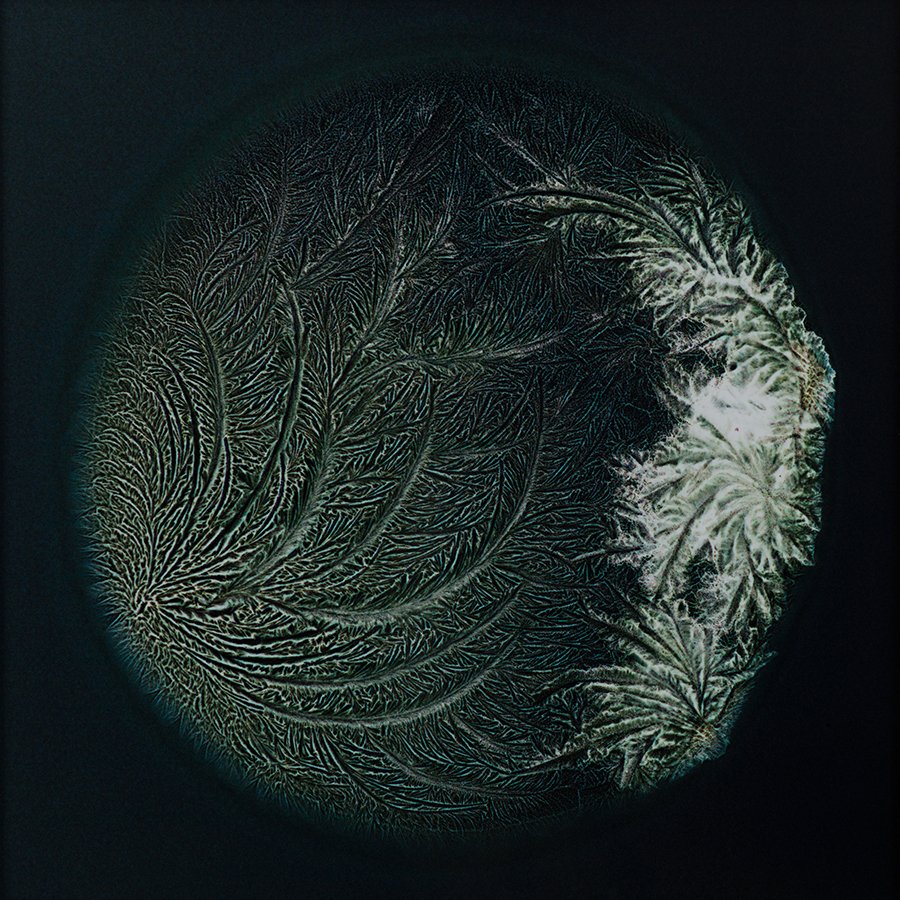 All You Can Feel: Images of Recreational Drugs Exposed to Film Negatives by Sarah Schoenfeld macro drugs 