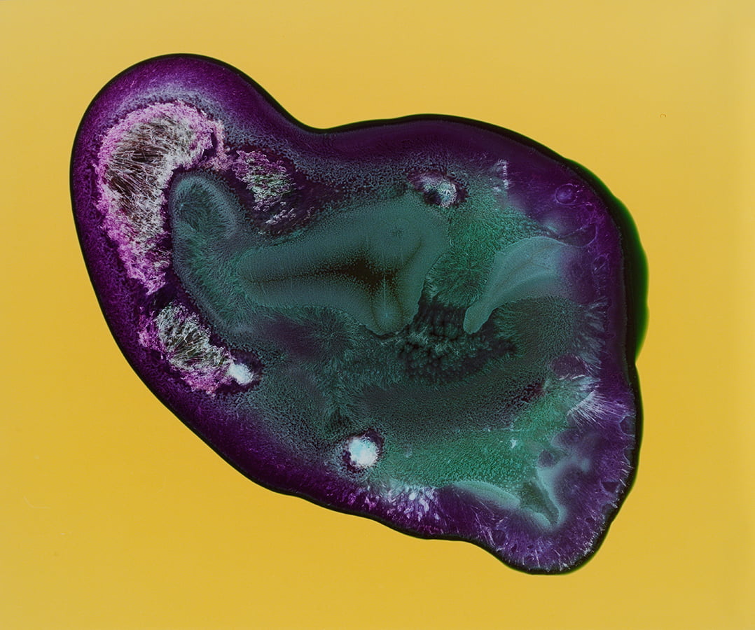 All You Can Feel: Images of Recreational Drugs Exposed to Film Negatives by Sarah Schoenfeld macro drugs 
