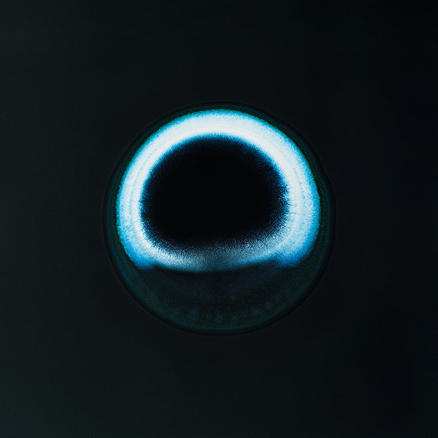 All You Can Feel: Images of Recreational Drugs Exposed to Film Negatives by Sarah Schoenfeld macro drugs 