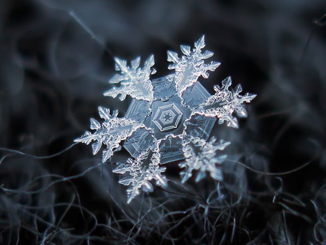 Spectacular Snowflakes From a Close-Up View