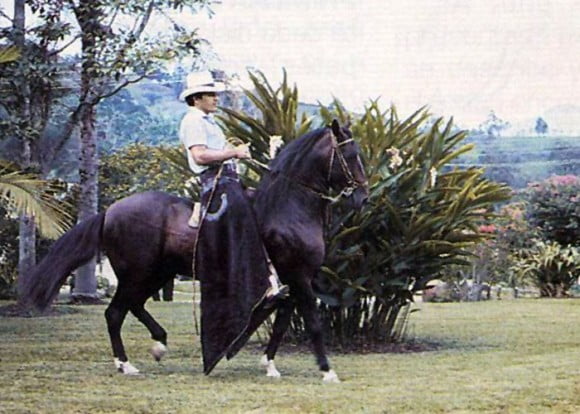 tupac_amaru_caballo_dos