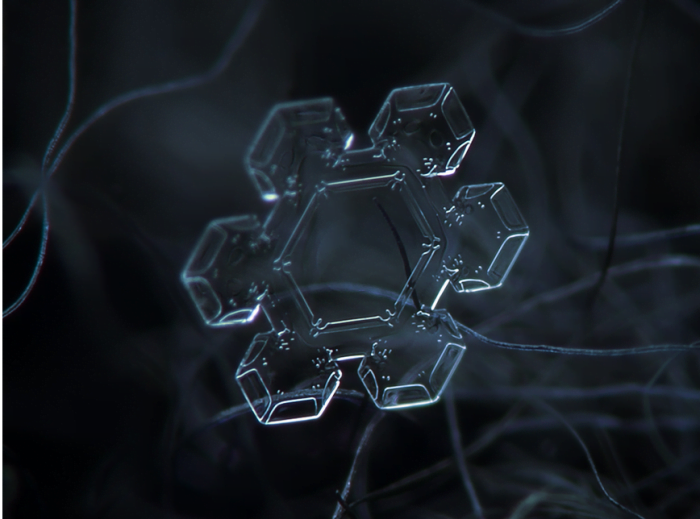 Spectacular Snowflakes From a Close-Up View