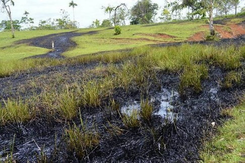 web_colp_ext_0124_big_tp