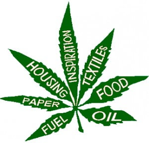 weed